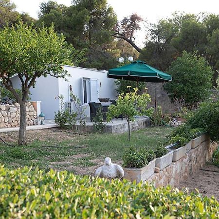 Pines & Sea Studio Agioi Экстерьер фото