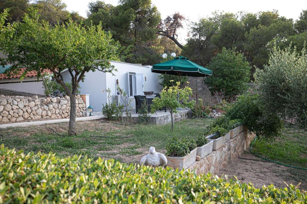 Pines & Sea Studio Agioi Экстерьер фото